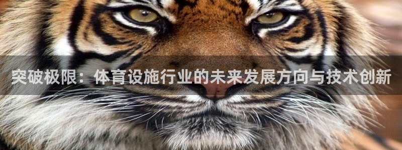 意昂4娱乐40996：突破极限：体育设施行业的未来发