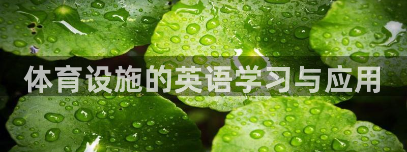 意昂4娱乐平台：体育设施的英语学习与应用