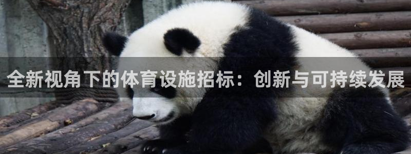 意昂集团官网：全新视角下的体育设施招标：创新与可持续