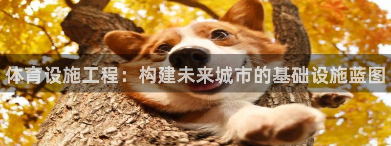 意昂体育4招商电话号码查询：体育设施工程：构建未来城