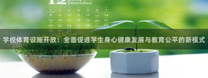 意昂体育4平台假的吗是真的吗吗：学校体育设施开放：全