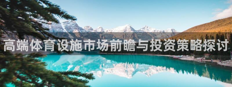 意昂4娱乐：高端体育设施市场前瞻与投资策略探讨