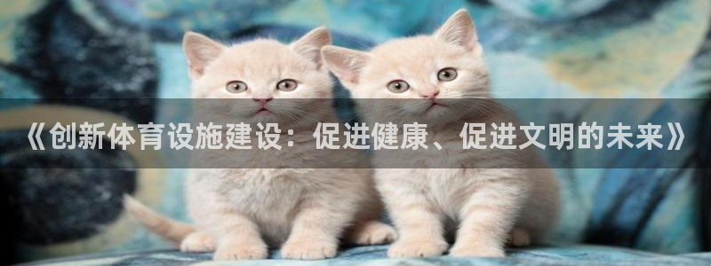 意昂体育4开户：《创新体育设施建设：促进健康、促进文