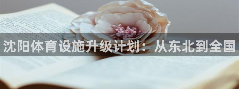 意昂4娱乐平台：沈阳体育设施升级计划：从东北到全国