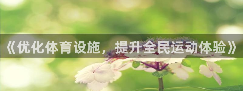意昂体育4招商电话是多少：《优化体育设施，提升全民运动体验》