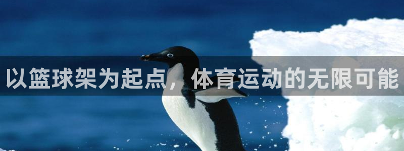 意昂体育4平台注册流程图：以篮球架为起点，体育运动的