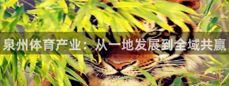 意昂4开户：泉州体育产业：从一地发展到全域共赢