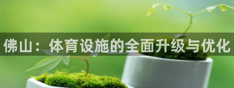 意昂体育4娱乐：佛山：体育设施的全面升级与优化