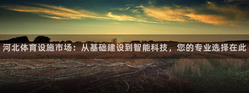 意昂4新能源：河北体育设施市场：从基础建设到智能科技