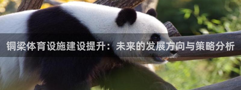 海南意昂体育4：铜梁体育设施建设提升：未来的发展方向