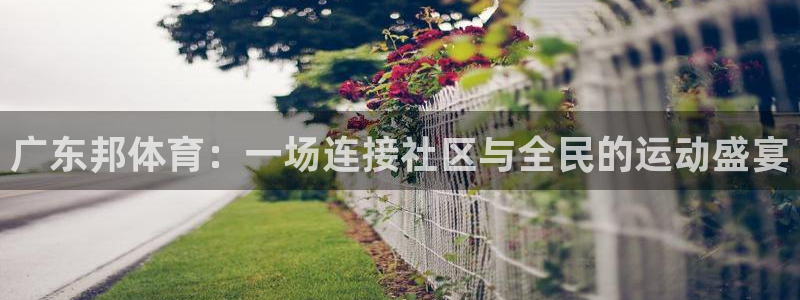 海南意昂体育4：广东邦体育：一场连接社区与全民的运动