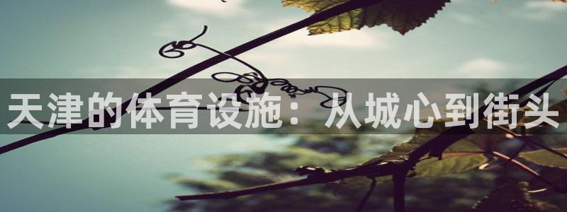 意昂集团官网：天津的体育设施：从城心到街头 