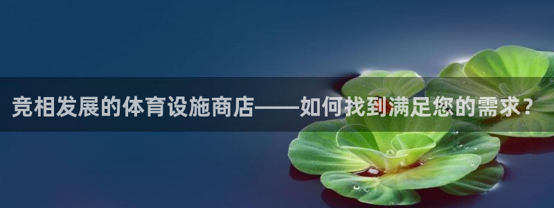 意昂4开户：竞相发展的体育设施商店——如何找到满足您的需求？