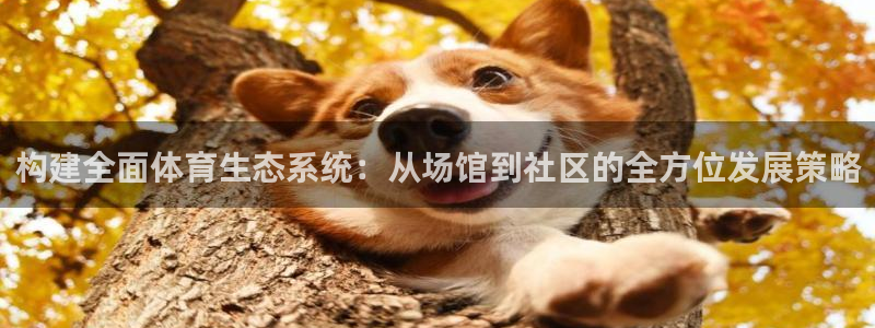 意昂4娱乐代理怎么样：构建全面体育生态系统：从场馆到社区的全