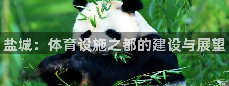 意昂集团官网：盐城：体育设施之都的建设与展望