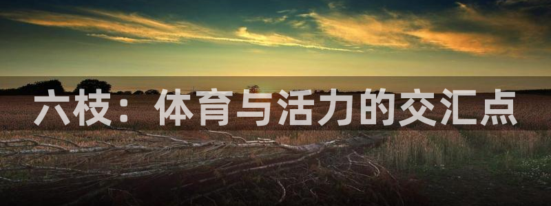 意昂体育4：六枝：体育与活力的交汇点
