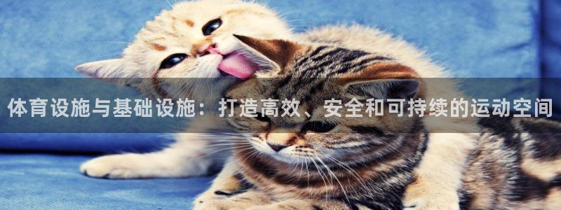 意昂4神州：体育设施与基础设施：打造高效、安全和可持