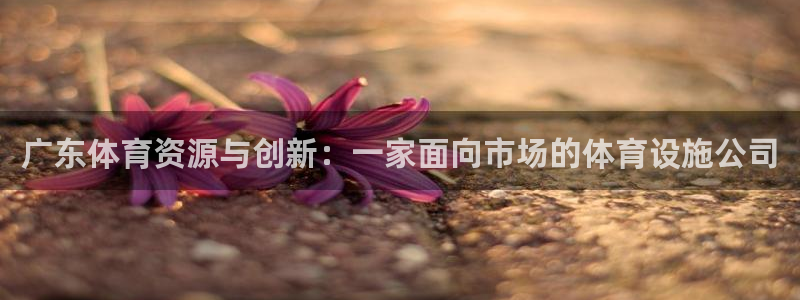 意昂体育4招商