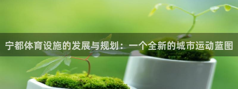 海南意昂体育4发展怎么样：宁都体育设施的发展与规划：