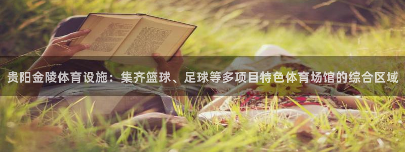 海南意昂体育4