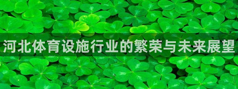德国意昂4集团：河北体育设施行业的繁荣与未来展望