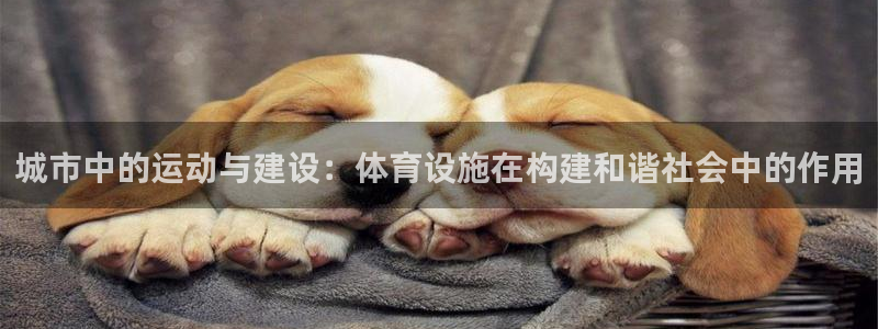 意昂4集团简介：城市中的运动与建设：体育设施在构建和