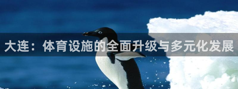 意昂体育4平台注册：大连：体育设施的全面升级与多元化