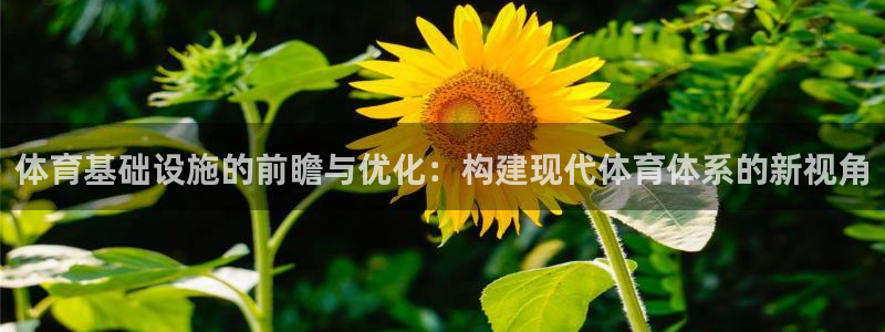 意昂体育4招商电话是多少号码：体育基础设施的前瞻与优化：构建