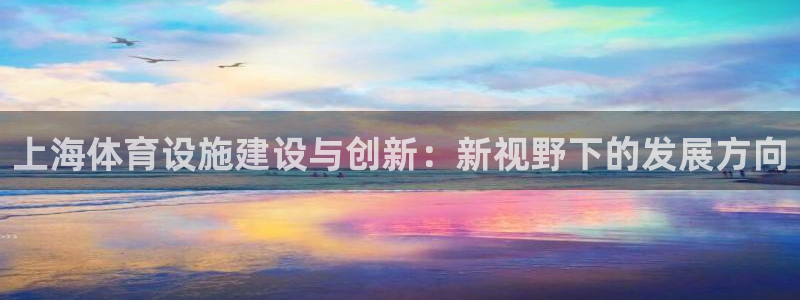 意昂4代理：上海体育设施建设与创新：新视野下的发展方向