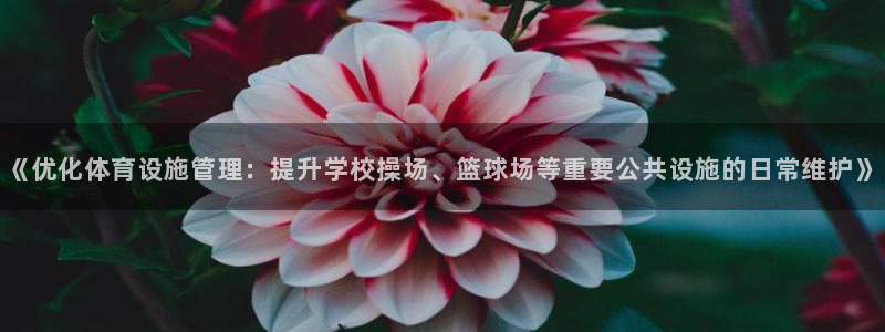 意昂体育4平台注册流程图：《优化体育设施管理：提升学