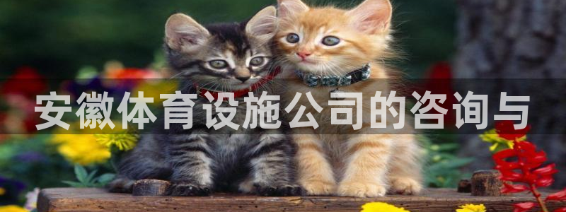 意昂4官网：安徽体育设施公司的咨询与