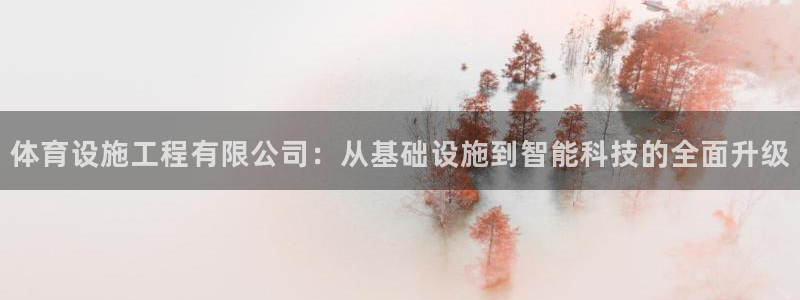 意昂体育4娱乐：体育设施工程有限公司：从基础设施到智