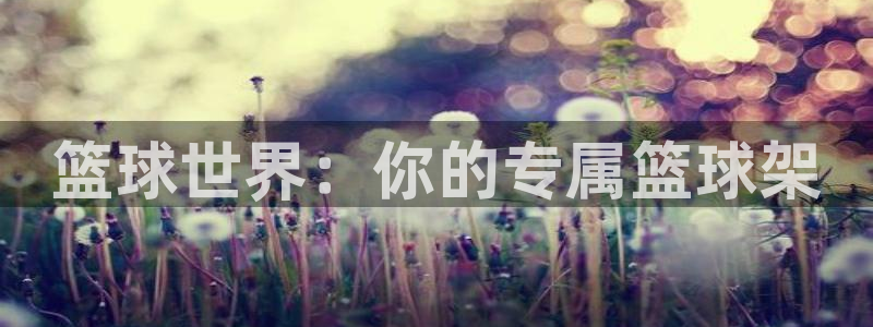 德国意昂4集团：篮球世界：你的专属篮球架