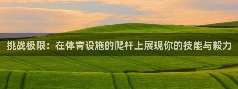 意昂体育4：挑战极限：在体育设施的爬杆上展现你的技能