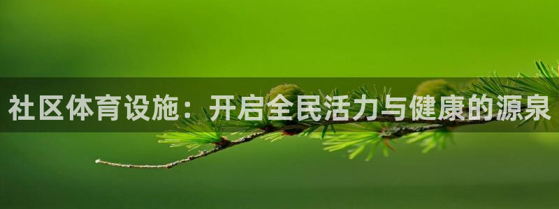 意昂体育4软件：社区体育设施：开启全民活力与健康的源