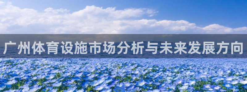 意昂4开户：广州体育设施市场分析与未来发展方向