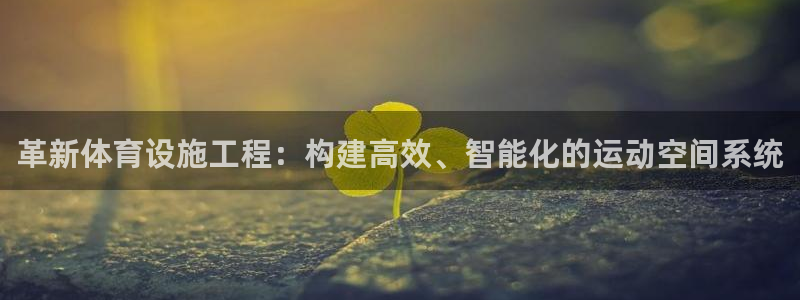 意昂体育4注册：革新体育设施工程：构建高效、智能化的