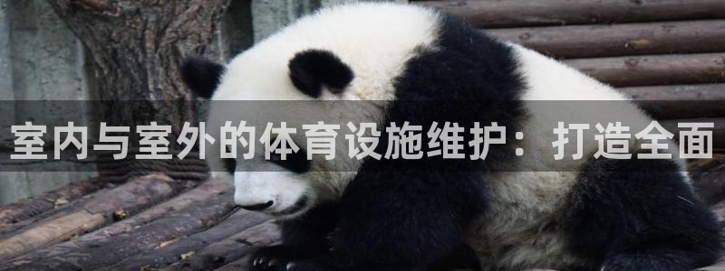意昂4娱乐：室内与室外的体育设施维护：打造全面