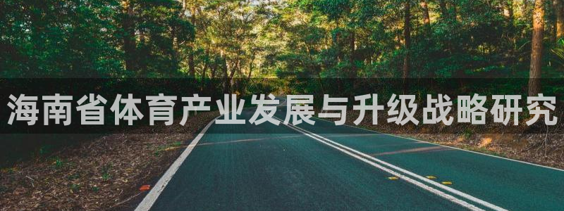 意昂体育4开户：海南省体育产业发展与升级战略研究