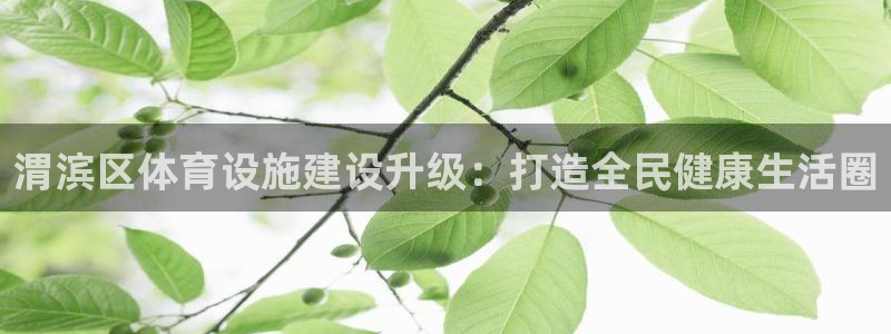 德国意昂4集团：渭滨区体育设施建设升级：打造全民健康生活圈