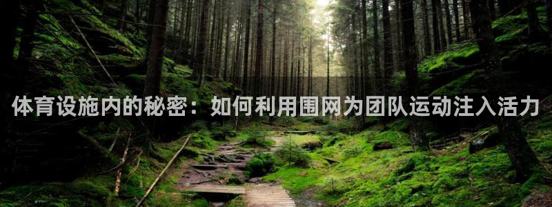 意昂4娱乐首页官网下载：体育设施内的秘密：如何利用围网为团队