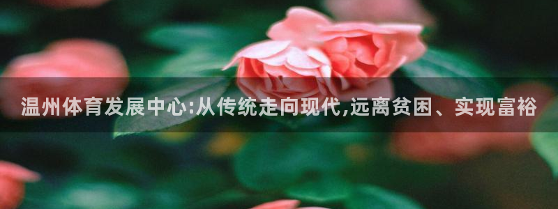 意昂平台体育：温州体育发展中心:从传统走向现代,远离