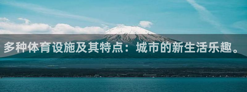 意昂体育4官方客服电话：多种体育设施及其特点：城市的