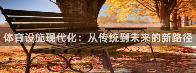 意昂体育4平台是正规平台吗安全吗：体育设施现代化：从