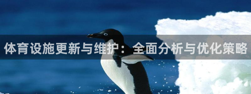 意昂4娱乐首页网站大全：体育设施更新与维护：全面分析