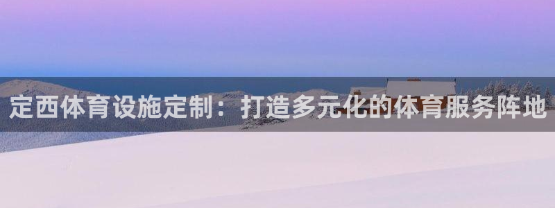 意昂4神州：定西体育设施定制：打造多元化的体育服务阵