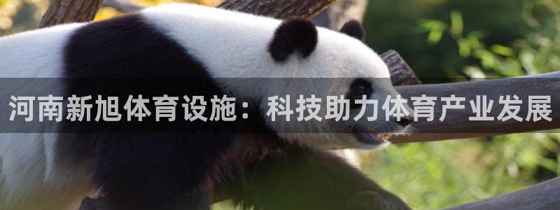 意昂体育4联系电话：河南新旭体育设施：科技助力体育产业发展