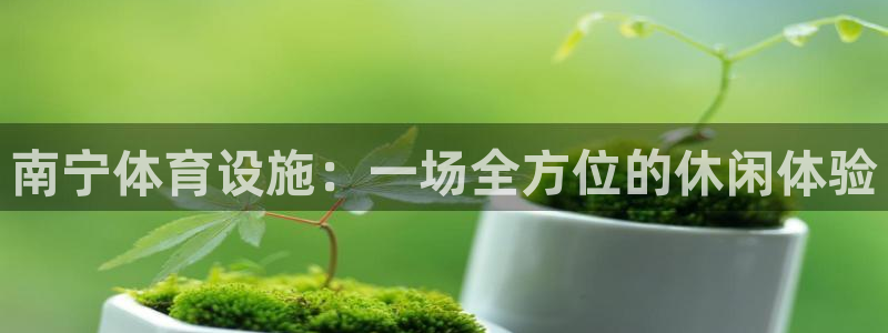 意昂体育4是干嘛的公司：南宁体育设施：一场全方位的休闲体验 