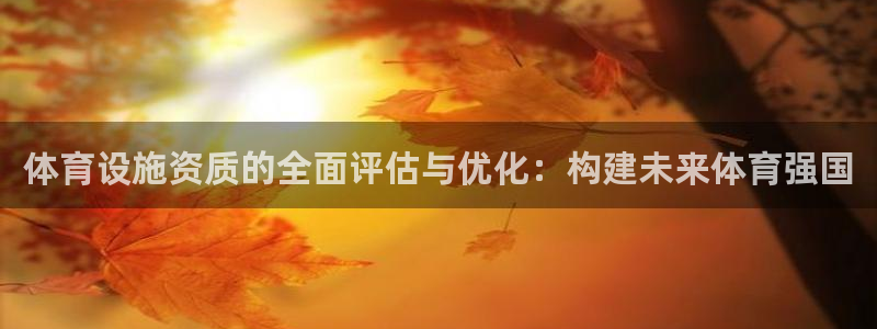 意昂4开户：体育设施资质的全面评估与优化：构建未来体