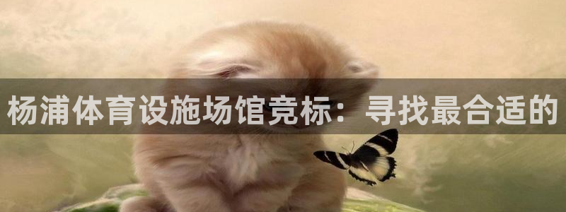 意昂体育4开户：杨浦体育设施场馆竞标：寻找最合适的